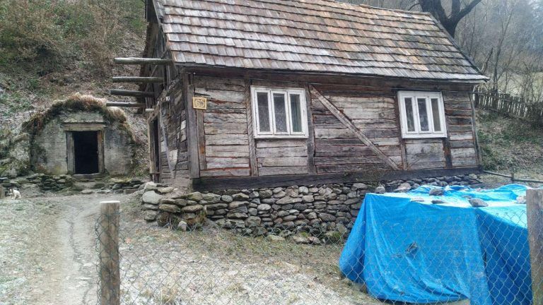 zobrazhennia_viber_2024-10-24_09-35-25-069-768x432.jpg