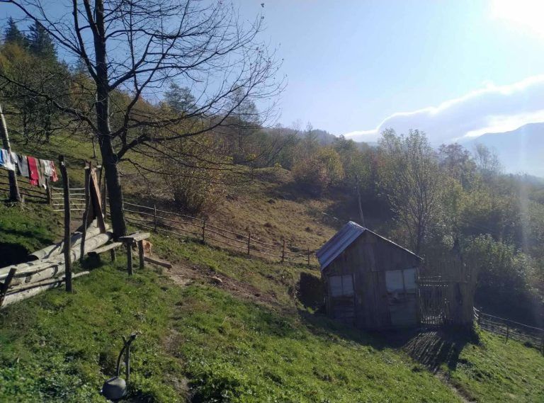 zobrazhennia_viber_2024-10-24_09-35-26-363-768x569.jpg